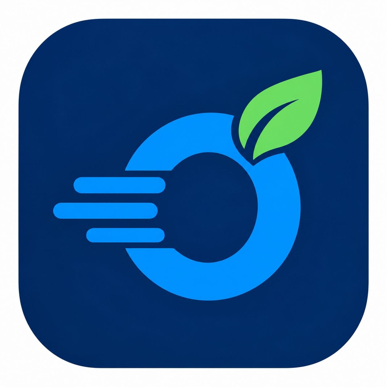 Addis Order
